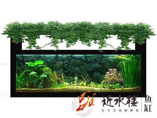 案例展示5 案例展示5