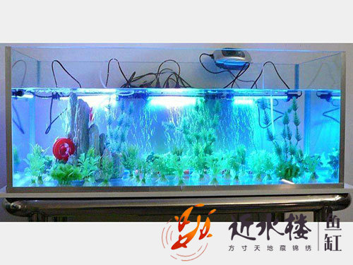 案例展示4 案例展示4
