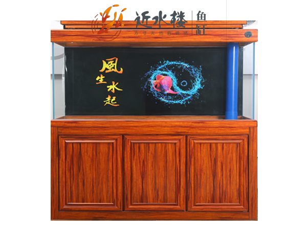 磺酸枝燈帶款魚(yú)缸