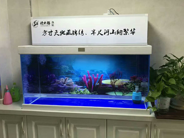 私人定制上過濾魚缸 私人定制上過濾魚缸