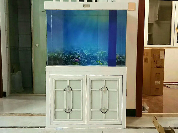 白色款私人定制魚缸